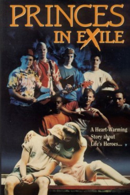 Movie poster for Princes In Exile (1991)