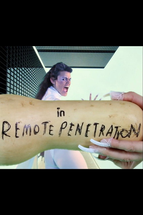 Movie poster for Remote Penetration / Stain of History (2013)