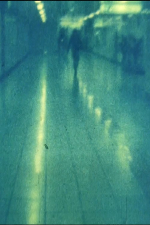 Movie poster for 母と私 (2015)
