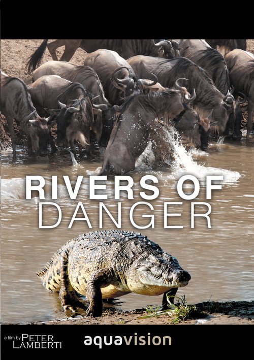 Movie poster for Rivers of Danger (2004)