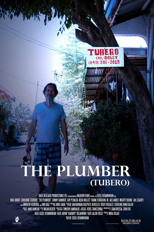 Movie poster for The Plumber (2019)