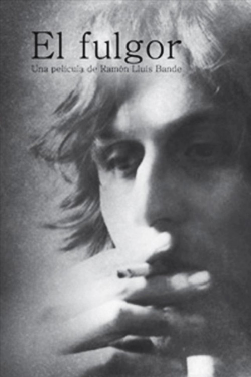 Movie poster for El Fulgor (2002)