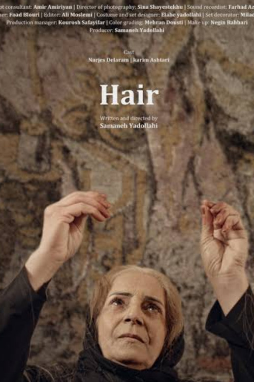 Movie poster for Hair (2022)