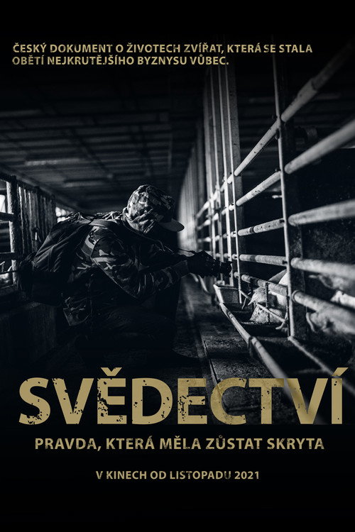 Movie poster for Svědectví: Pravda, která měla zůstat skryta (2021)