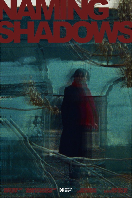 Movie poster for Naming Shadows (2026)
