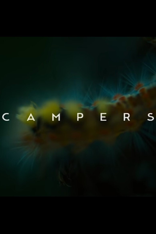 Movie poster for Campers (2018)