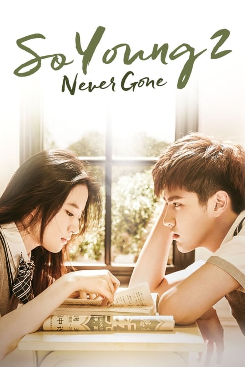 Movie poster for So Young 2: Never Gone (2016)