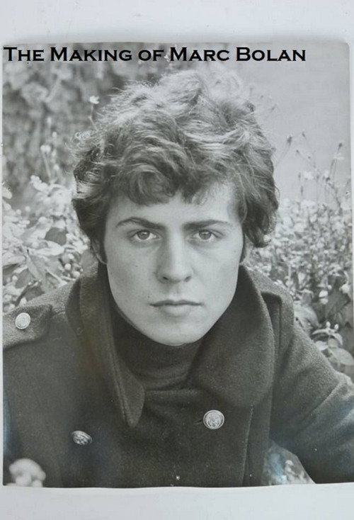 Movie poster for The Making of Marc Bolan (2017)