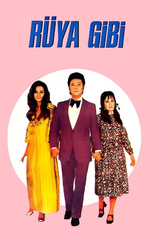 Movie poster for Rüya Gibi (1971)