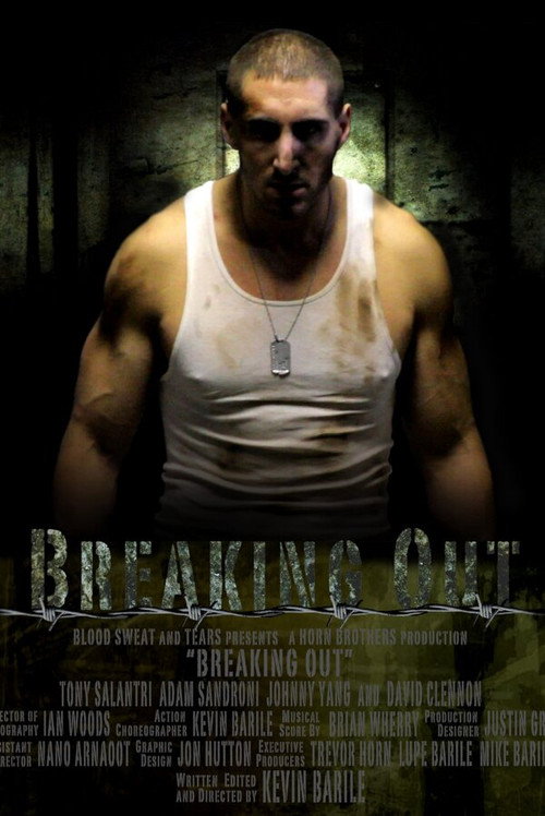 Movie poster for Breaking Out (2010)
