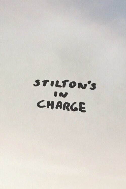 Movie poster for Stilton's in Charge (2022)