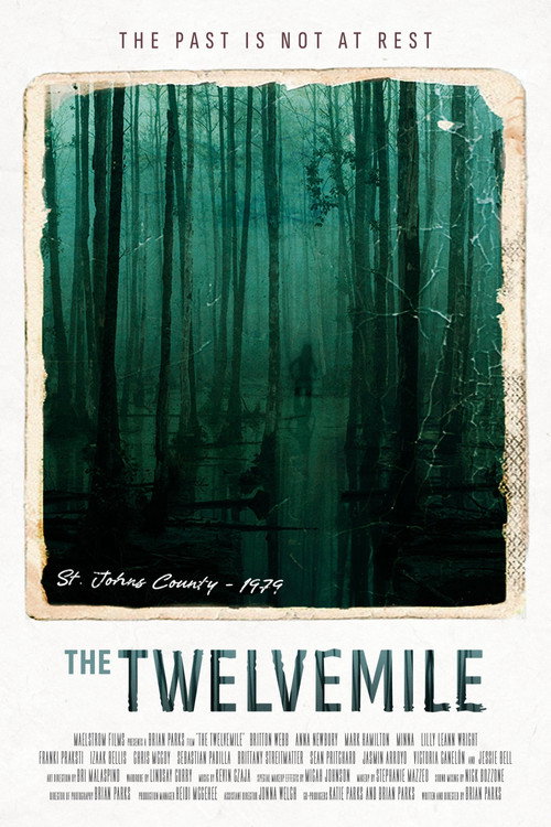 Movie poster for The Twelvemile