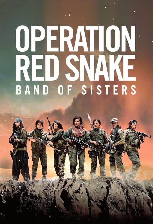 Movie poster for Sisters in Arms (2019)