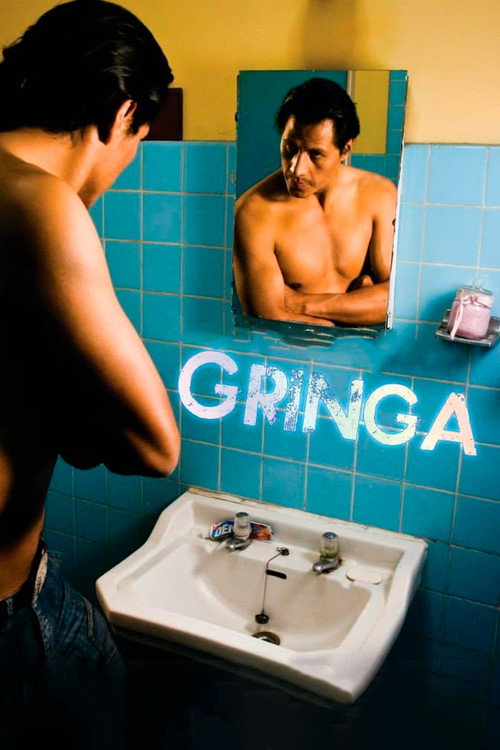 Movie poster for Gringa (2010)