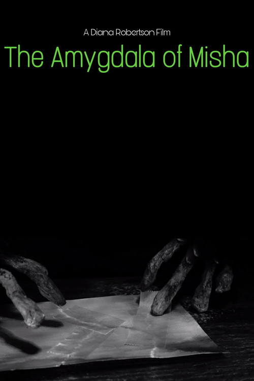 The Amygdala of Misha poster