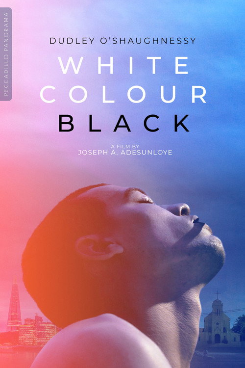 Movie poster for White Colour Black (2016)