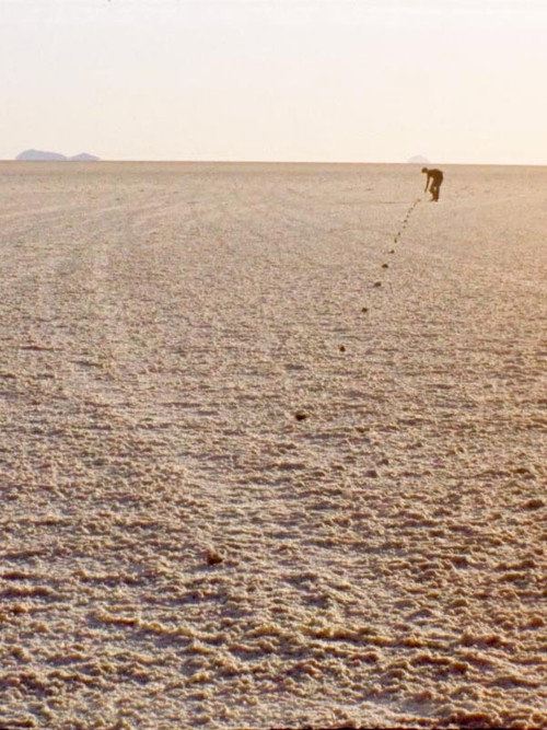 Movie poster for Of Seeing in Salt. Or: Ten Strategies to Face the Own Finitude in an Infinity (2024)