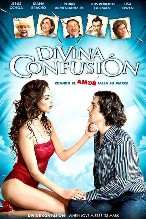 Movie poster for Divine Confusion (2008)