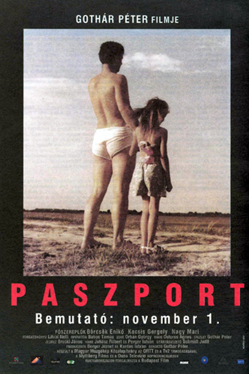 Movie poster for Passport (2001)