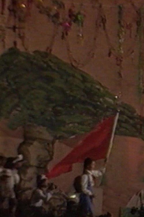 Movie poster for Big Tree County (1993)