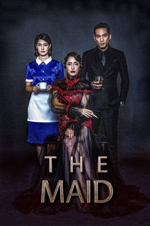Movie poster for The Maid (2020)