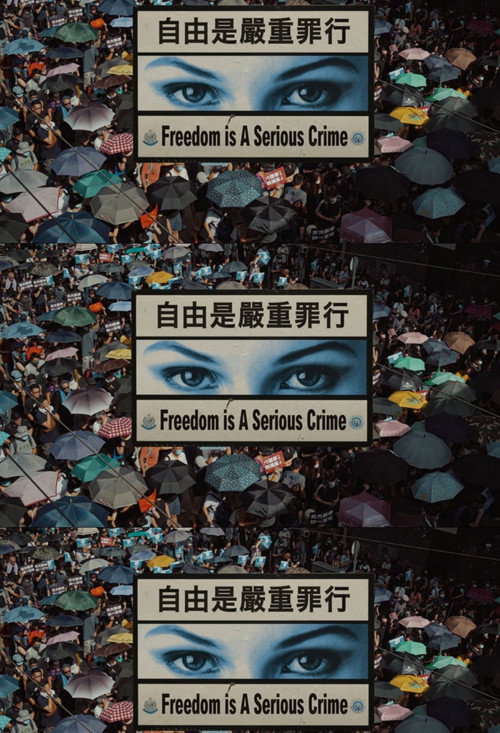 Movie poster for Freedom Is A Serious Crime (2020)
