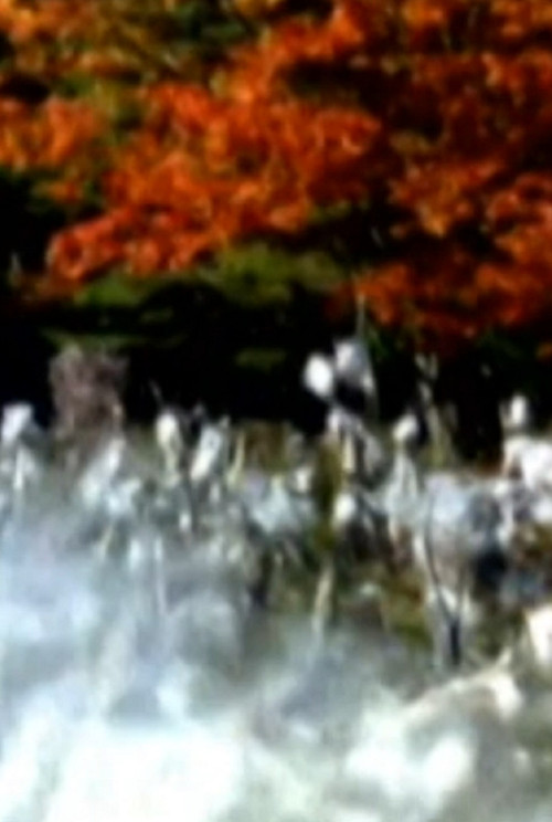 Movie poster for Such as It Is (2007)