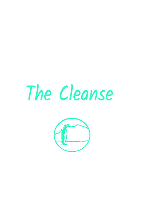 Movie poster for The Cleanse. (2020)