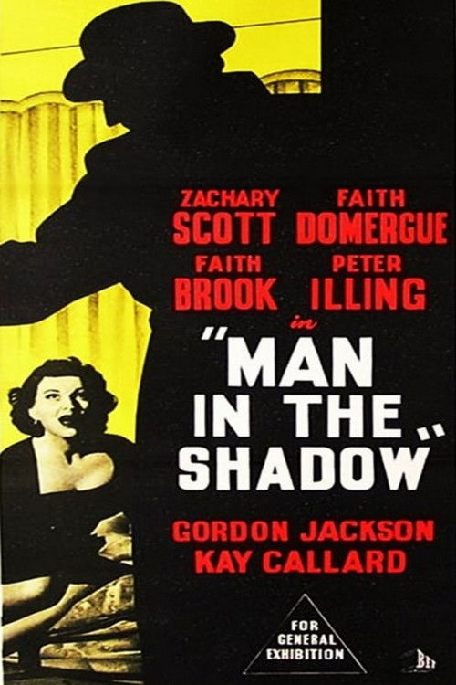 Man in the Shadow poster