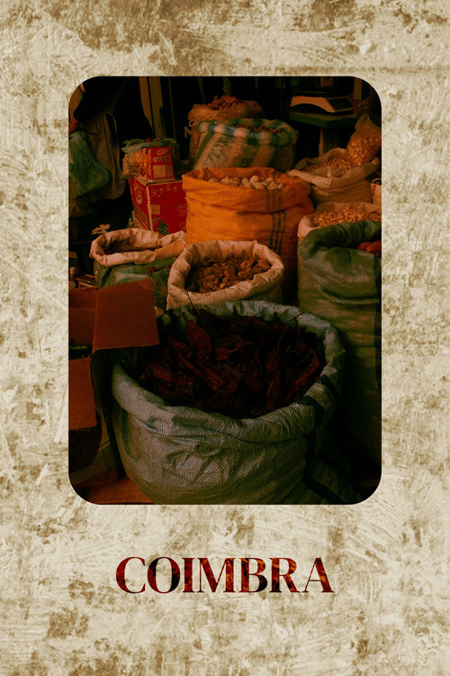 Movie poster for Coimbra (2025)