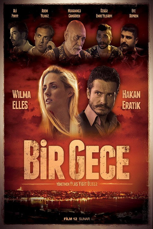 Movie poster for Bir Gece (2015)