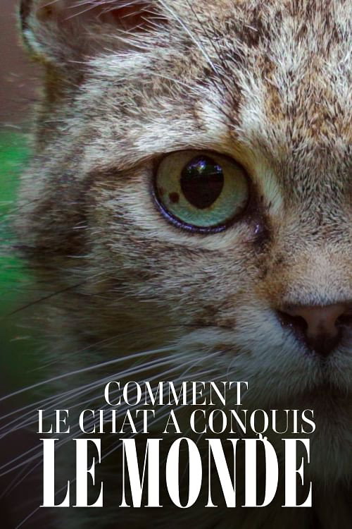 Movie poster for Comment le chat a conquis le monde (2020)