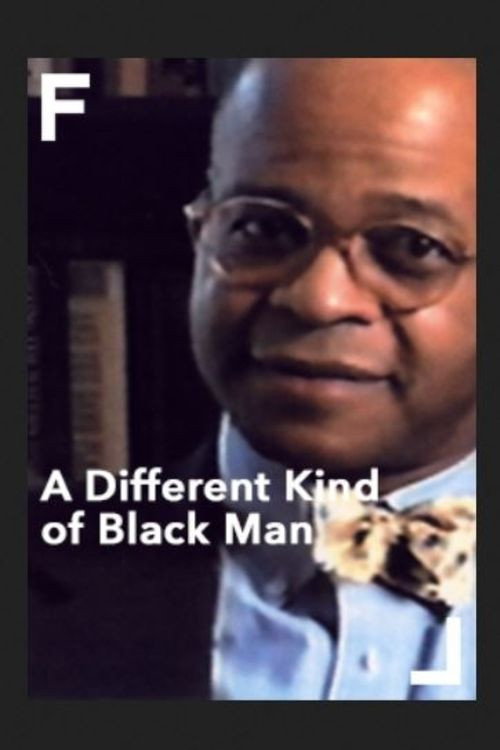 Movie poster for A Different Kind of Black Man (2002)