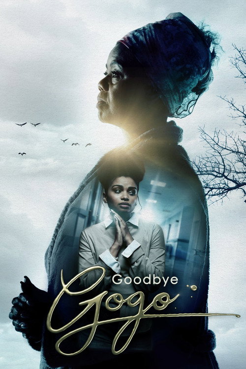 Movie poster for Goodbye Gogo