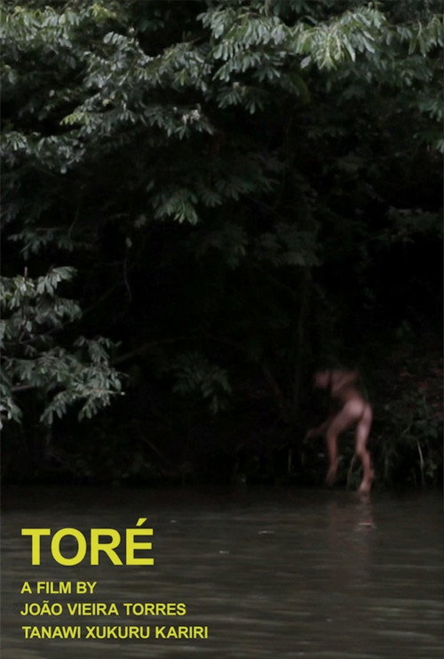 Movie poster for Toré (2015)