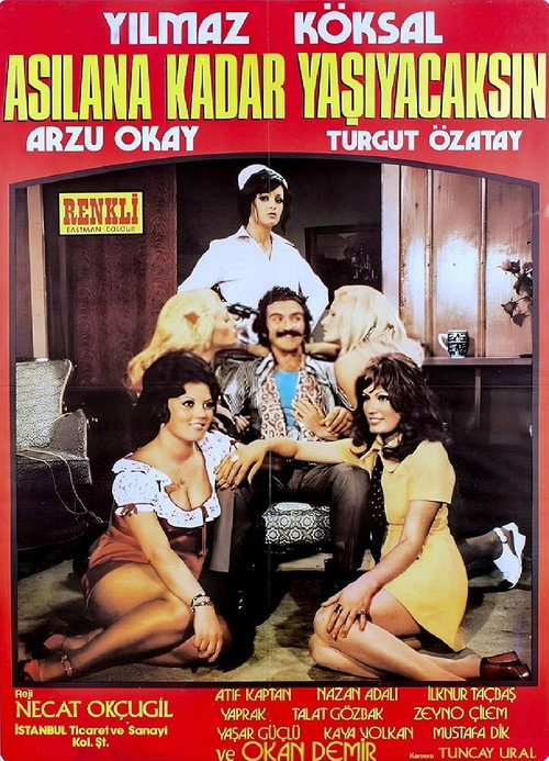 Movie poster for Asılana Kadar Yaşayacaksın (1972)