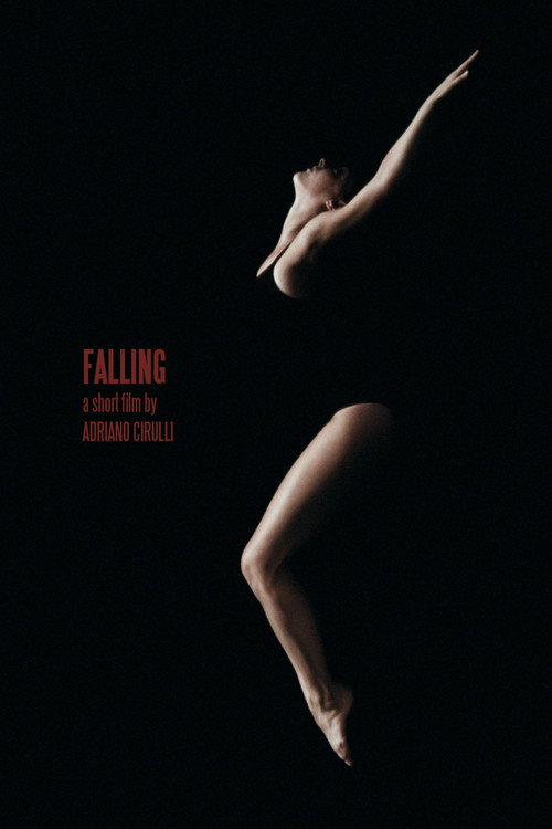 Movie poster for Falling (2011)