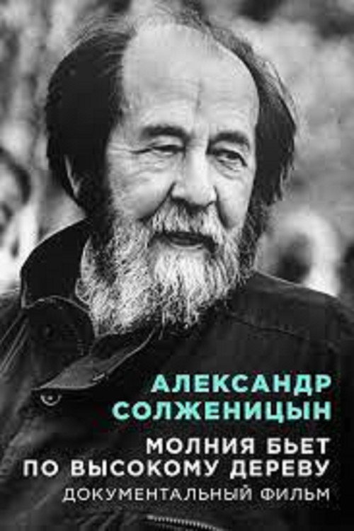 Movie poster for Aleksandr Solzhenitsyn Lightning strikes a tall tree (2008)