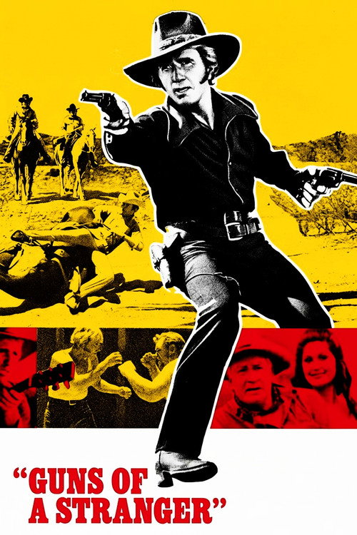 Movie poster for Guns of a Stranger (1973)