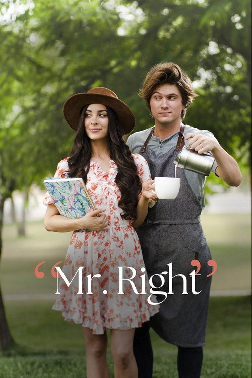 Movie poster for Mr. Right (2023)