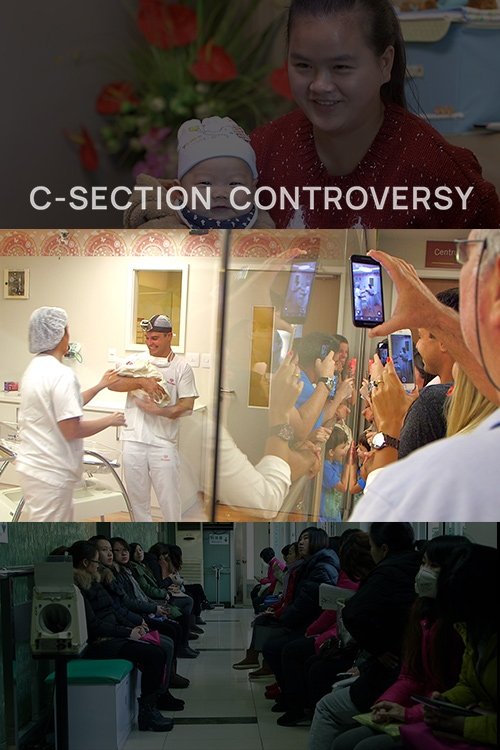 Movie poster for The C-Section Controversy (2016)