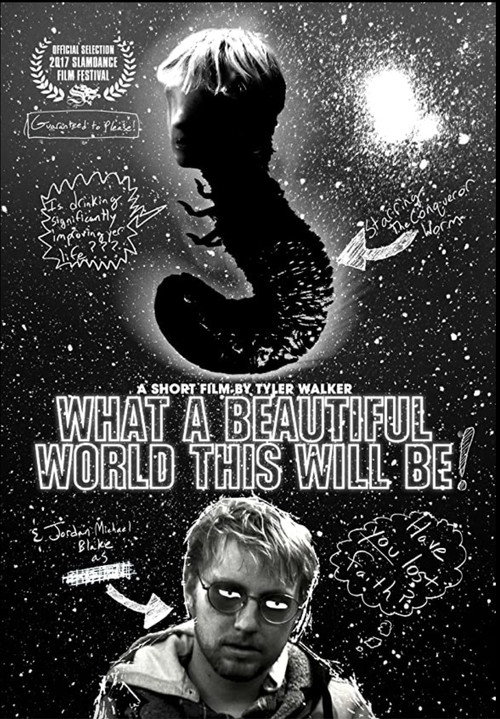 Movie poster for What a Beautiful World This Will Be