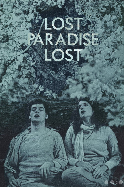 Movie poster for Lost Paradise Lost (2017)