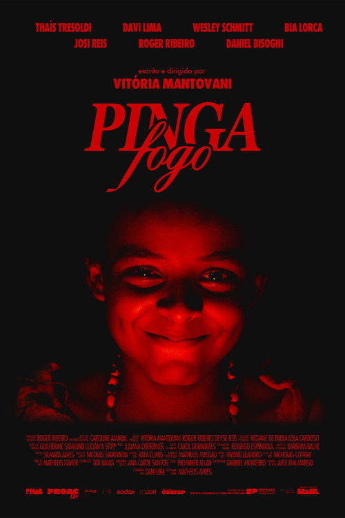 Movie poster for Pinga Fogo