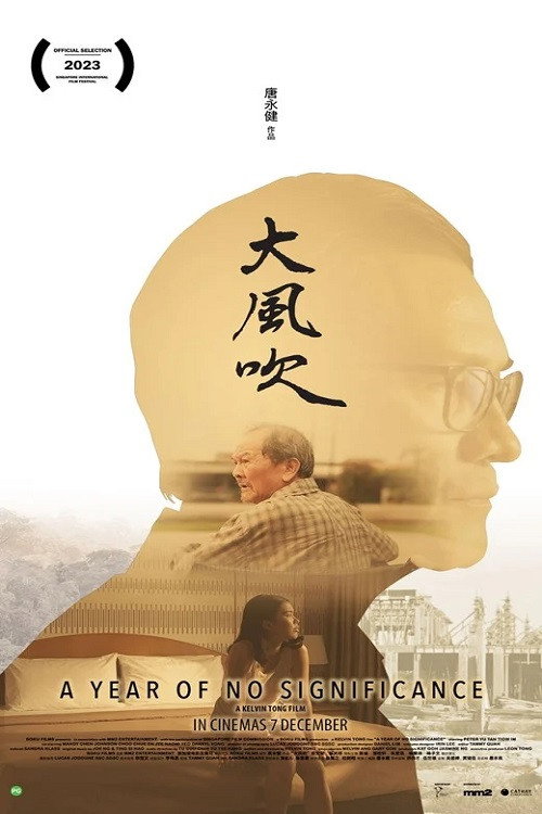 Movie poster for A Year of No Significance (2023)