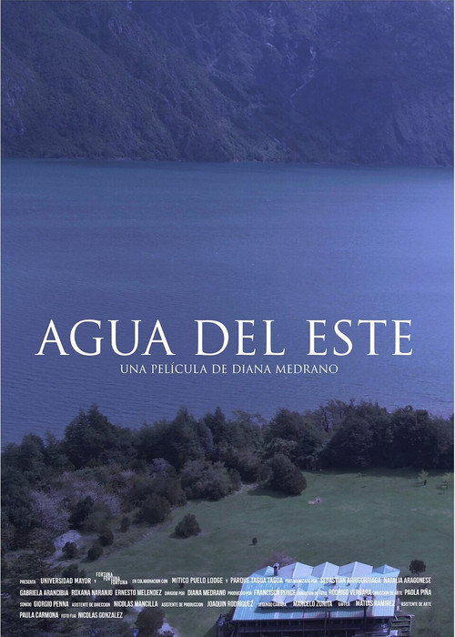 Movie poster for Agua del este (2020)