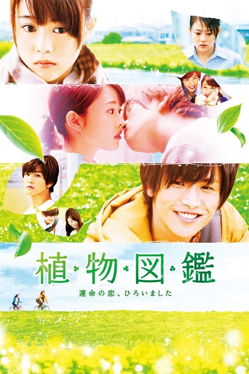 Movie poster for Evergreen Love (2016)