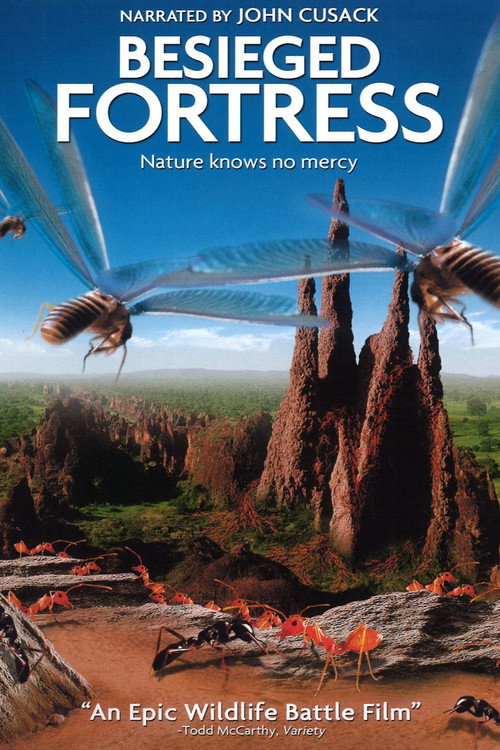 Movie poster for The Besieged Fortress (2006)