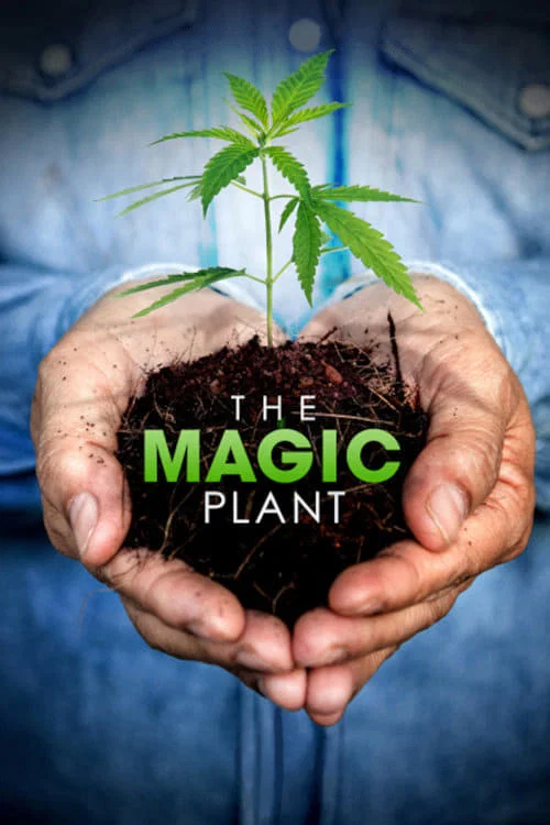 Movie poster for The Magic Plant (2020)
