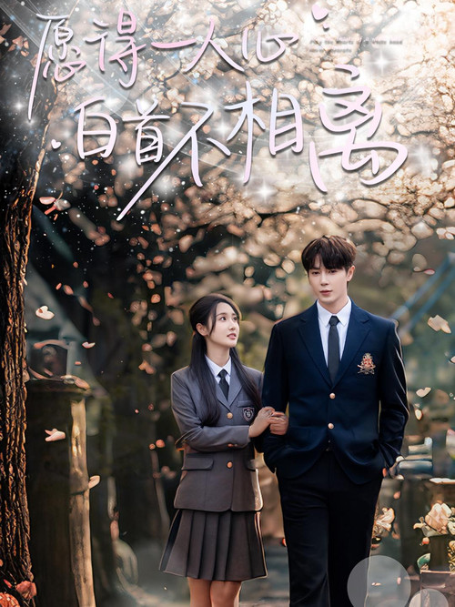 Series poster for 愿得一人心白首不相离 (2025)
